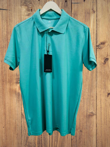 "Men's Sea Green Polo T-Shirt"